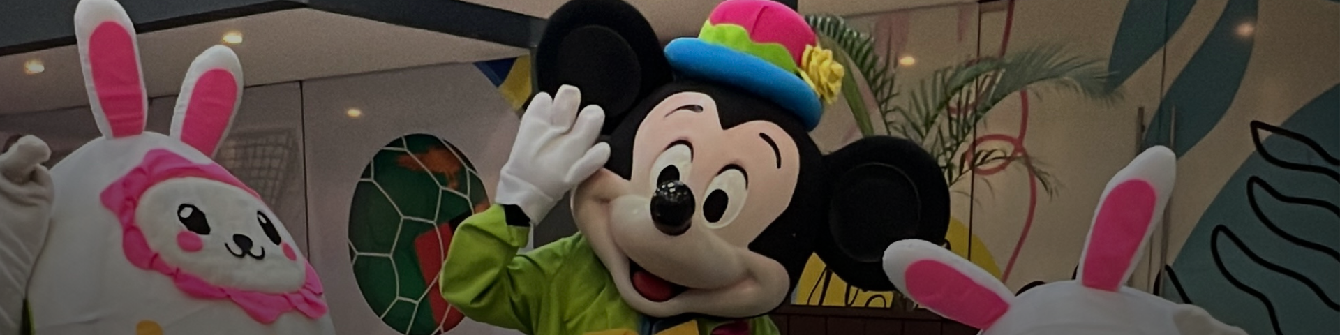 &nbsp;
